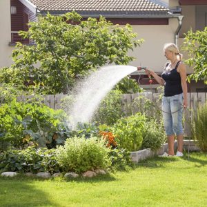 TROTEC Elektronischer Druckschalter TDP DSP – Pumpensteuerung Druckwächter – für Wasserpumpen, Hauswasserwerk, Gartenpumpen max. 10 bar, mit Kabel und Stecker [Energieklasse A] 18