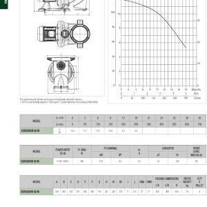 DAB EUROSWIM 50 M 0,75 HP IE2 Elektropumpe für Schwimmbäder, einphasig, selbstansaugend, leise, für Haushalt und Wohnungen, aggressive Flüssigkeiten, Fischzucht, Landwirtschaft und Industrie. 17