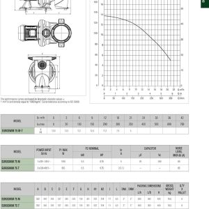 DAB EUROSWIM 50 M 0,75 HP IE2 Elektropumpe für Schwimmbäder, einphasig, selbstansaugend, leise, für Haushalt und Wohnungen, aggressive Flüssigkeiten, Fischzucht, Landwirtschaft und Industrie. 19